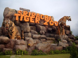 sriracha-tiger-zoo