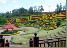 Chiang Rai Attractions